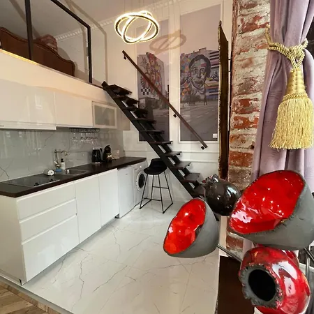 公寓 Muralowa Przystan Design Loft Z Antresola Centrum Lodzi 罗兹