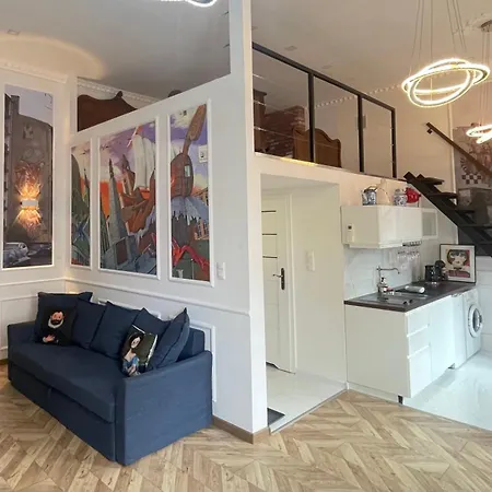 Loft Z Antresola Centrum Muralowa Przystan Klimatyzacja Faktura Lodz